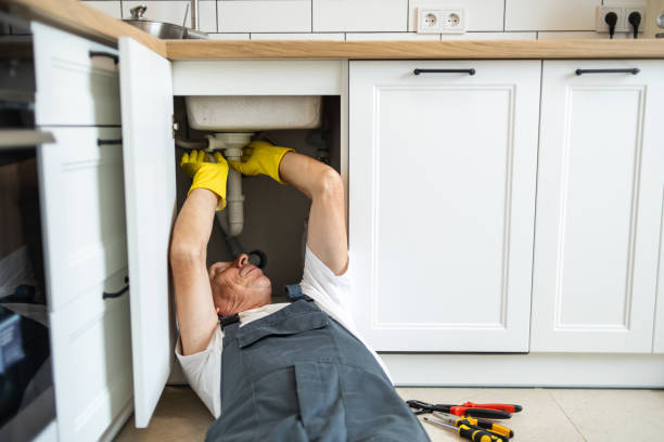 Best Best Plumbers Near Me  in Riddle, OR